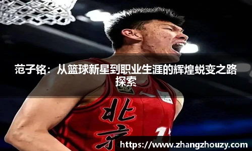 威廉希尔WilliamHill中文